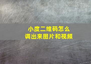 小度二维码怎么调出来图片和视频