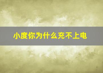 小度你为什么充不上电