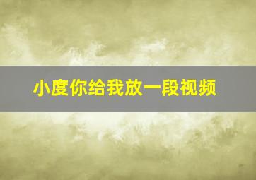 小度你给我放一段视频