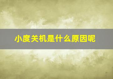 小度关机是什么原因呢