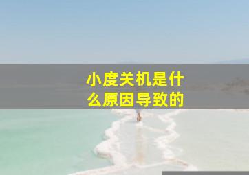 小度关机是什么原因导致的