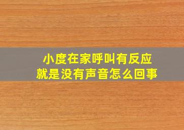 小度在家呼叫有反应就是没有声音怎么回事