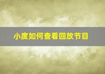 小度如何查看回放节目