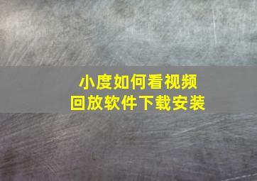 小度如何看视频回放软件下载安装