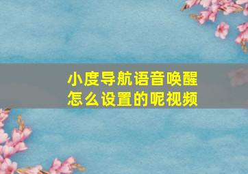 小度导航语音唤醒怎么设置的呢视频