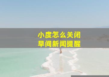 小度怎么关闭早间新闻提醒