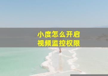 小度怎么开启视频监控权限