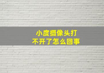 小度摄像头打不开了怎么回事