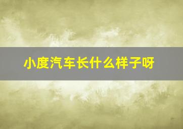 小度汽车长什么样子呀