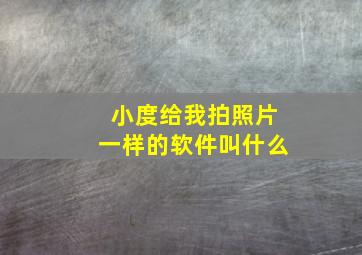 小度给我拍照片一样的软件叫什么