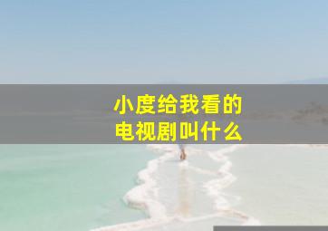 小度给我看的电视剧叫什么