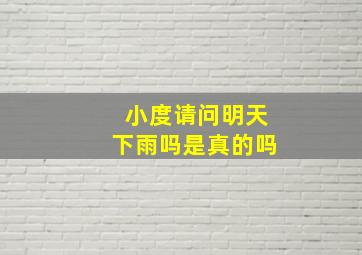 小度请问明天下雨吗是真的吗