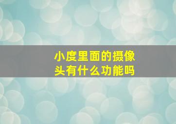 小度里面的摄像头有什么功能吗