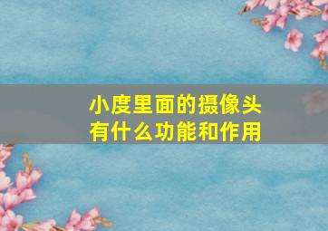 小度里面的摄像头有什么功能和作用