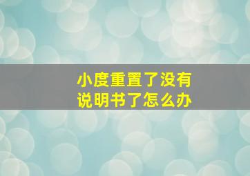 小度重置了没有说明书了怎么办