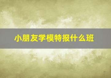 小朋友学模特报什么班