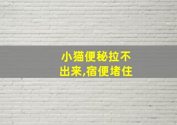 小猫便秘拉不出来,宿便堵住