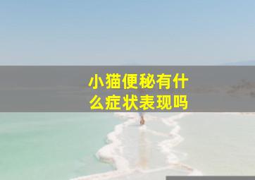 小猫便秘有什么症状表现吗