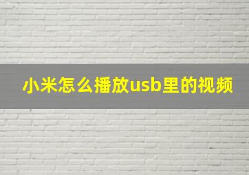 小米怎么播放usb里的视频