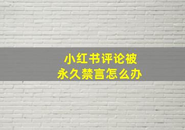 小红书评论被永久禁言怎么办