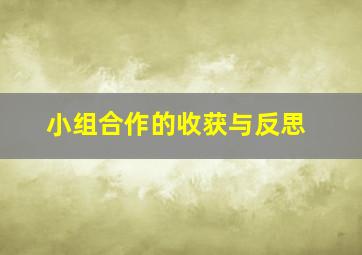 小组合作的收获与反思