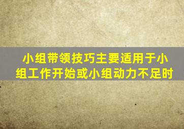 小组带领技巧主要适用于小组工作开始或小组动力不足时