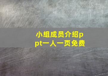 小组成员介绍ppt一人一页免费