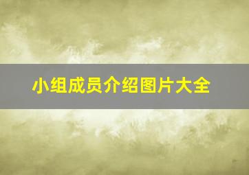 小组成员介绍图片大全