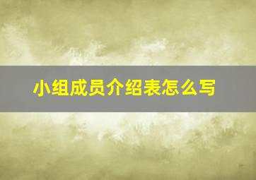 小组成员介绍表怎么写