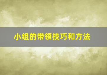 小组的带领技巧和方法