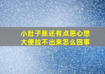 小肚子胀还有点恶心想大便拉不出来怎么回事