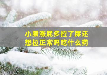 小腹涨屁多拉了屎还想拉正常吗吃什么药