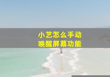 小艺怎么手动唤醒屏幕功能