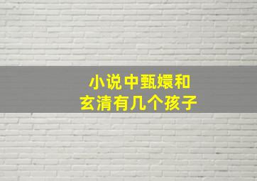 小说中甄嬛和玄清有几个孩子