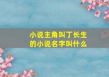 小说主角叫丁长生的小说名字叫什么