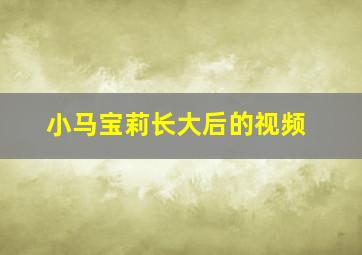 小马宝莉长大后的视频