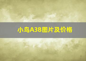 小鸟A38图片及价格