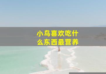 小鸟喜欢吃什么东西最营养