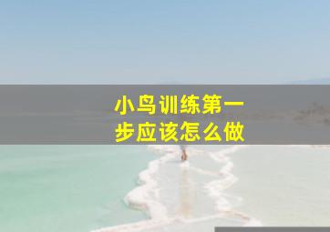 小鸟训练第一步应该怎么做