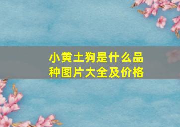 小黄土狗是什么品种图片大全及价格