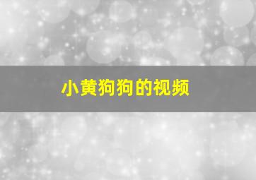 小黄狗狗的视频