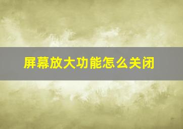 屏幕放大功能怎么关闭