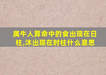 属牛人算命中的食出现在日柱,沐出现在时柱什么意思