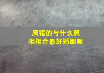 属猪的与什么属相相合最好婚姻呢