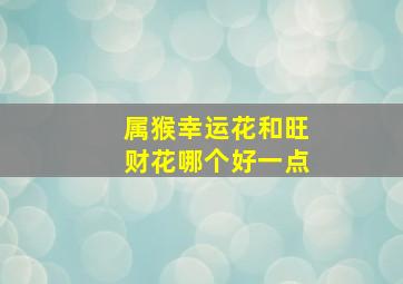 属猴幸运花和旺财花哪个好一点