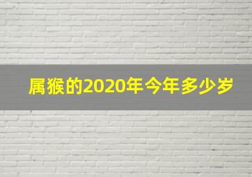 属猴的2020年今年多少岁