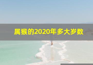 属猴的2020年多大岁数