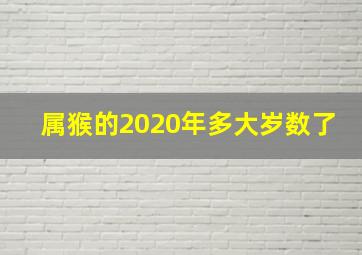 属猴的2020年多大岁数了