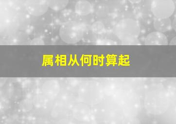 属相从何时算起