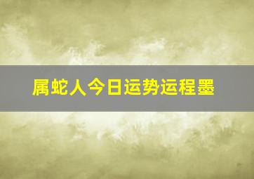 属蛇人今日运势运程墨